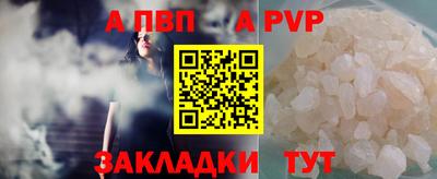 дмт Майкоп