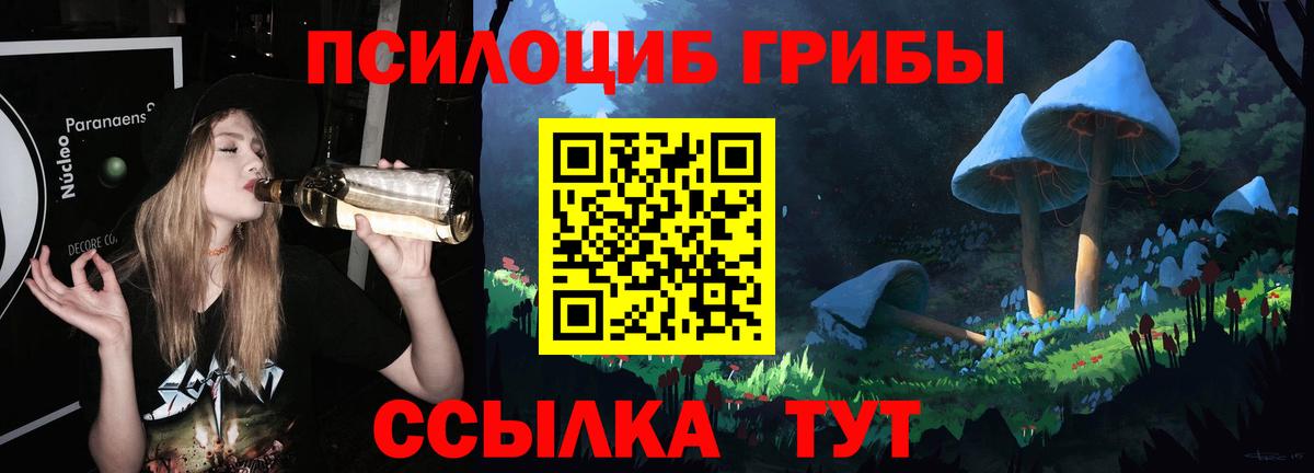 Тихвин  Псилоцибиновые грибы Magic Shrooms  Вход с VPN 